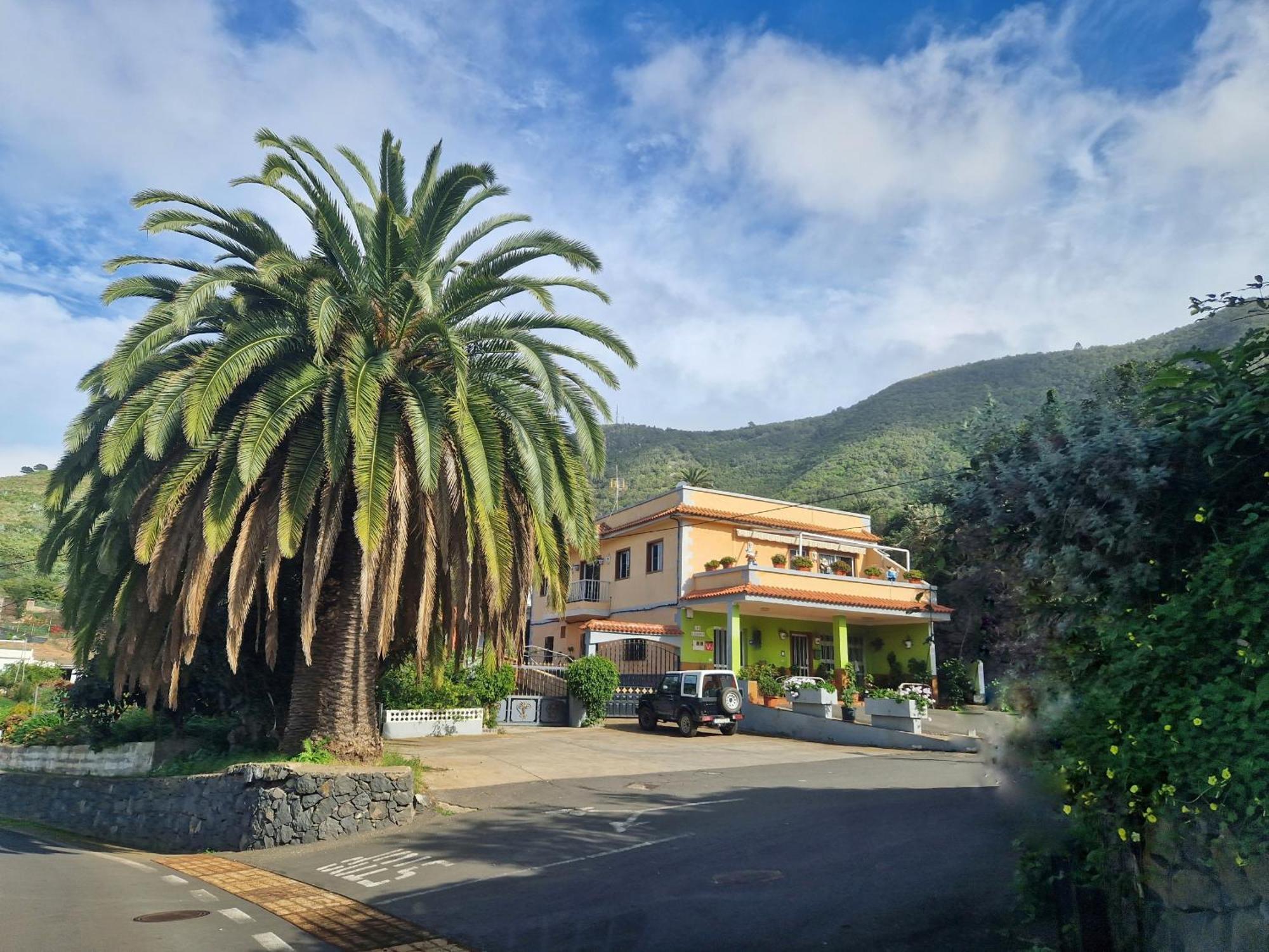 Vinedos Apartament